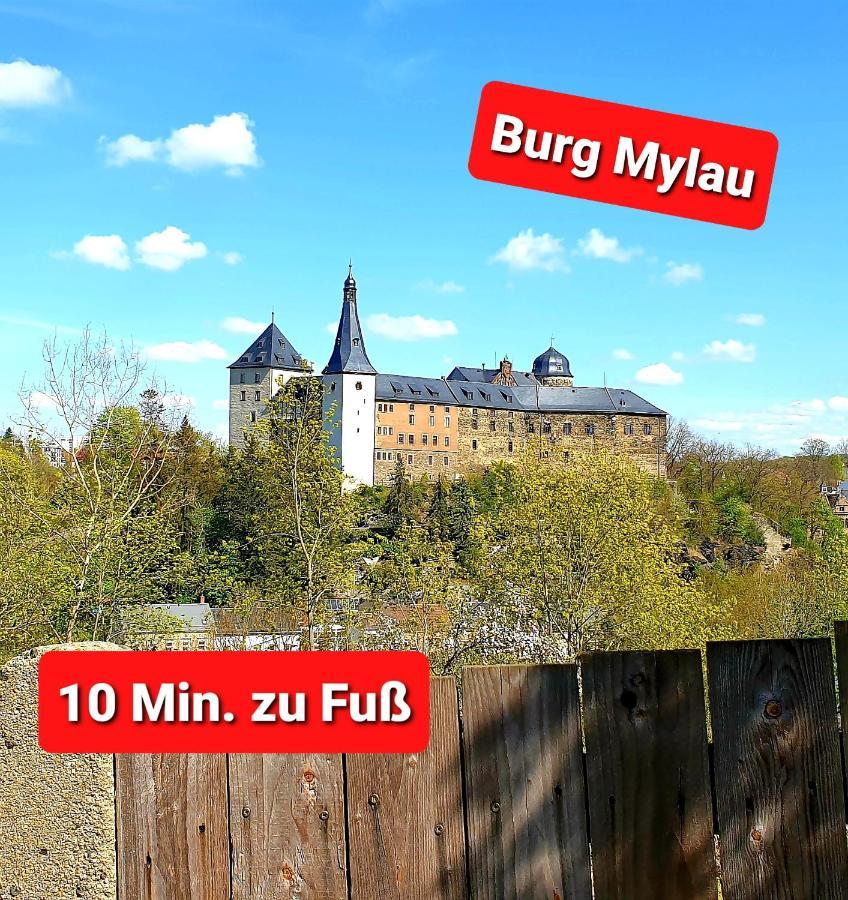 Ferienwohnung "Blick Mylau" - Naehe Freizeitpark Plohn & Weltgroesster Ziegelsteinbruecke Reichenbach im Vogtland Exterior foto