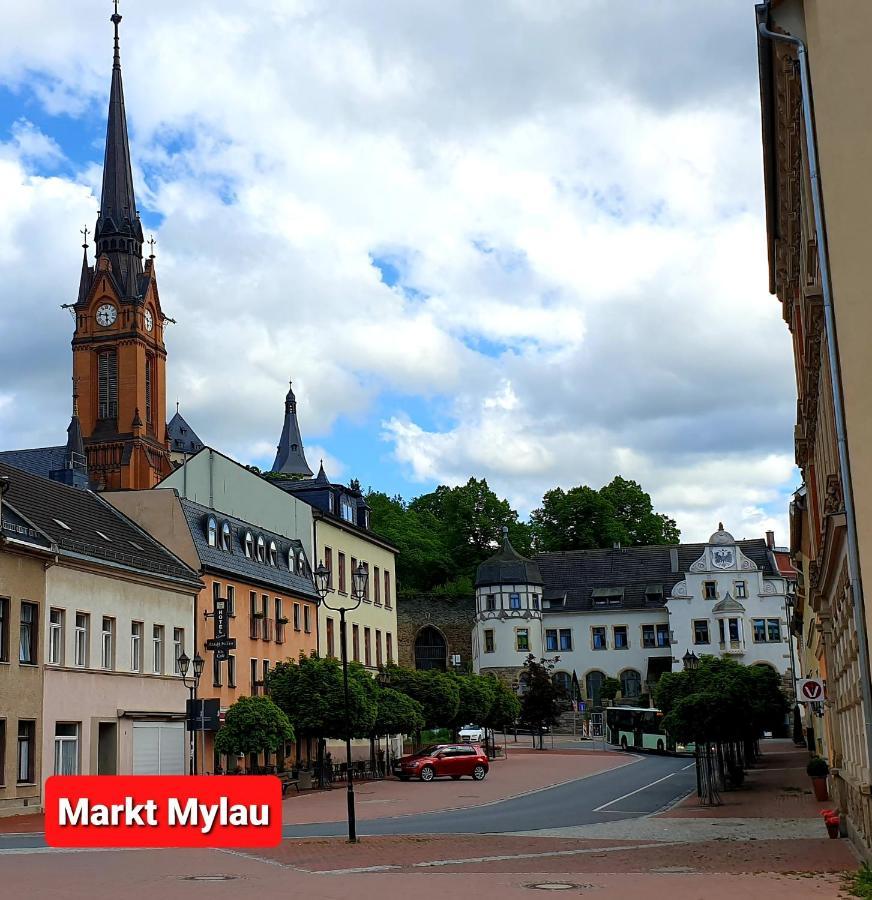 Ferienwohnung "Blick Mylau" - Naehe Freizeitpark Plohn & Weltgroesster Ziegelsteinbruecke Reichenbach im Vogtland Exterior foto