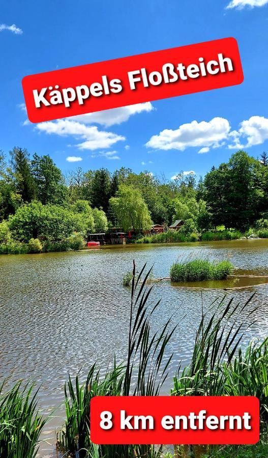 Ferienwohnung "Blick Mylau" - Naehe Freizeitpark Plohn & Weltgroesster Ziegelsteinbruecke Reichenbach im Vogtland Exterior foto