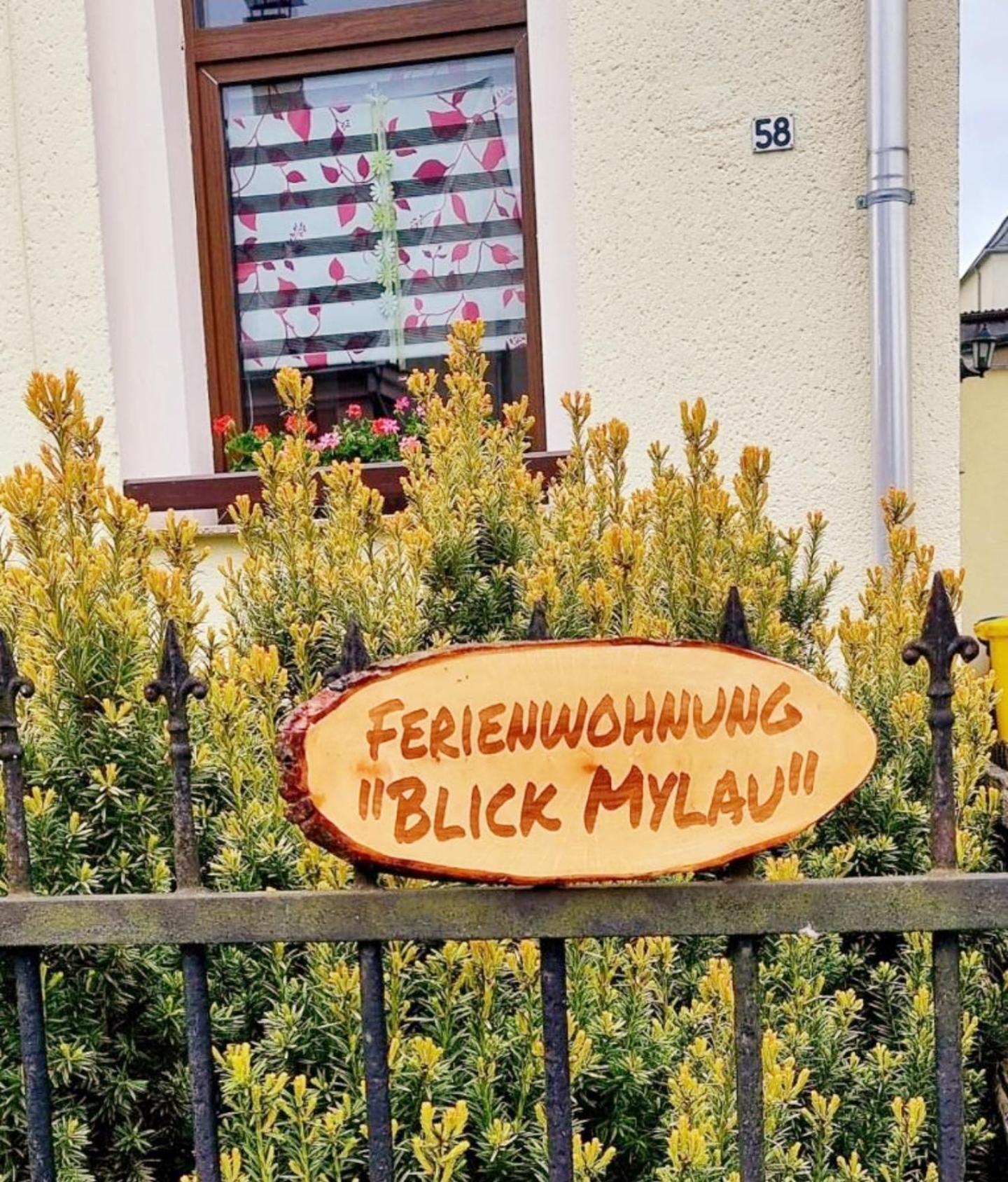 Ferienwohnung "Blick Mylau" - Naehe Freizeitpark Plohn & Weltgroesster Ziegelsteinbruecke Reichenbach im Vogtland Exterior foto