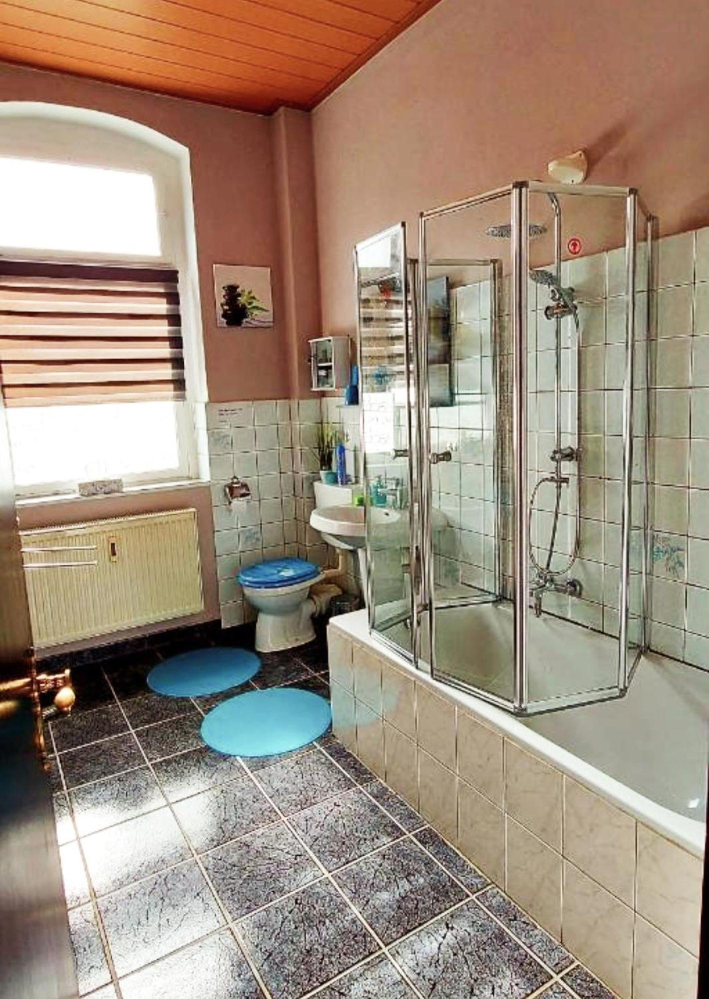 Ferienwohnung "Blick Mylau" - Naehe Freizeitpark Plohn & Weltgroesster Ziegelsteinbruecke Reichenbach im Vogtland Exterior foto